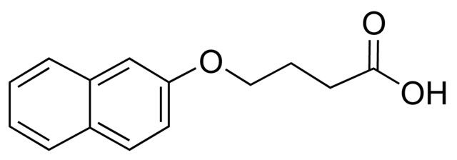 4-(2-Naphthyloxy)butanoic acid