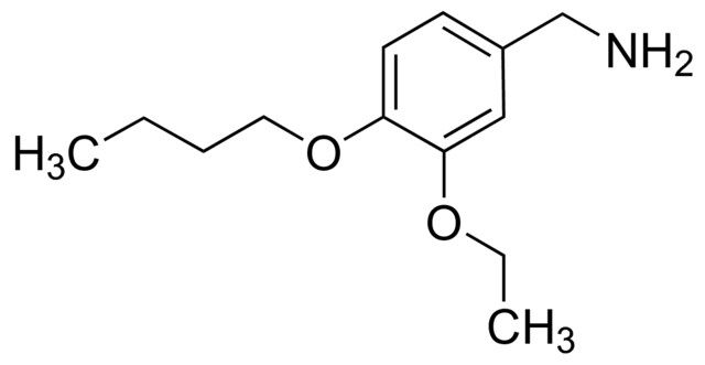 (4-Butoxy-3-ethoxyphenyl)methanamine