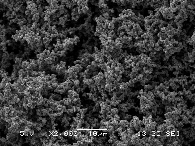 High surface area conducting polyaniline