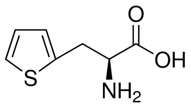 3-(2-Thienyl)-<sc>L</sc>-alanine