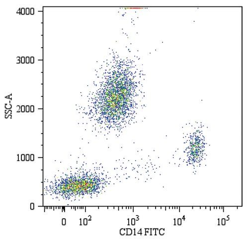 Monoclonal Anti-CD14-FITC antibody produced in mouse