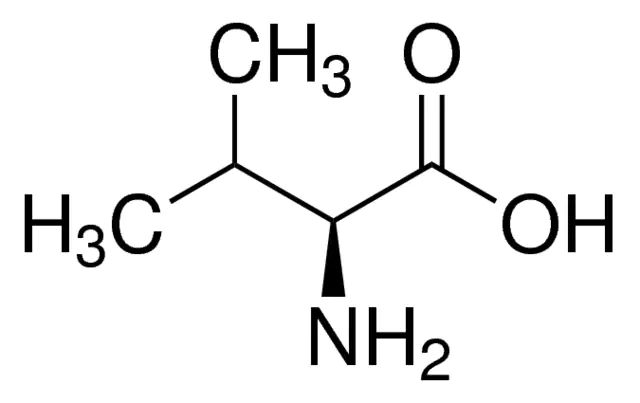 <sc>L</sc>-Valine