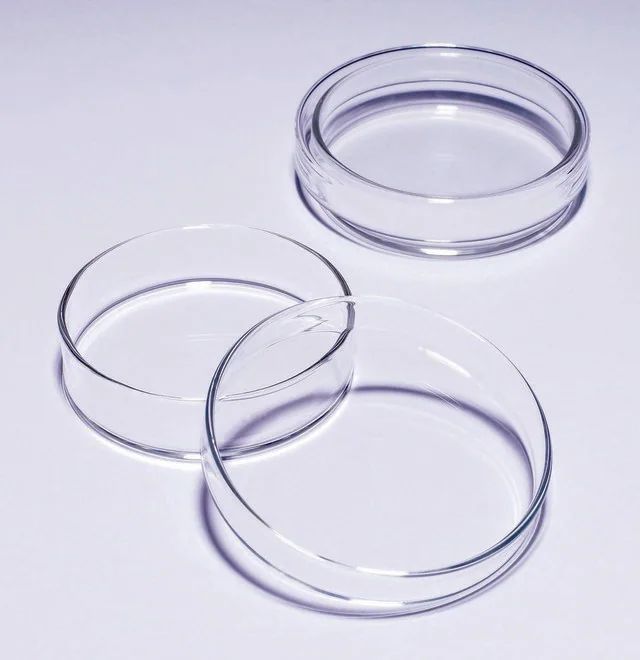 Pyrex<sup>®</sup> Petri dish