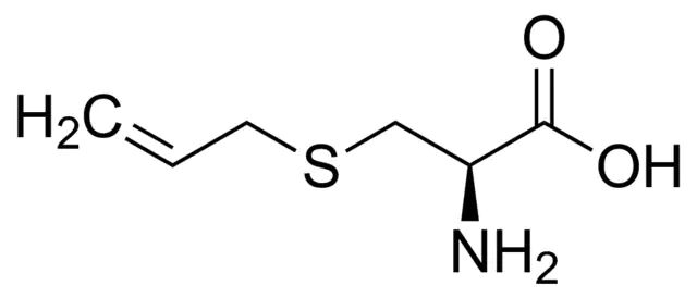 S-Allyl-L-cysteine