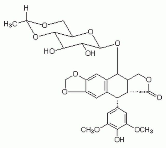 Etoposide-CAS 33419-42-0-Calbiochem