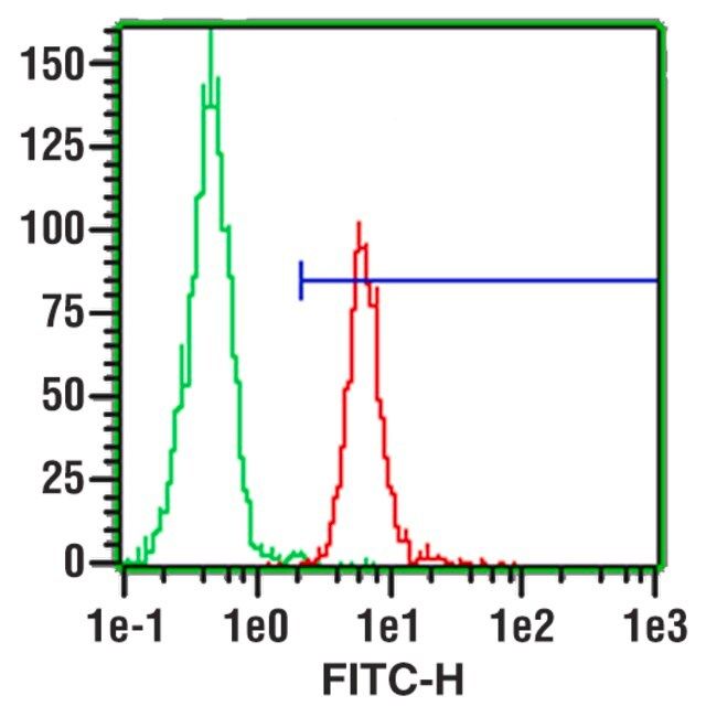 Monoclonal Anti-CD31 (PECAM-1)-FITC antibody produced in mouse