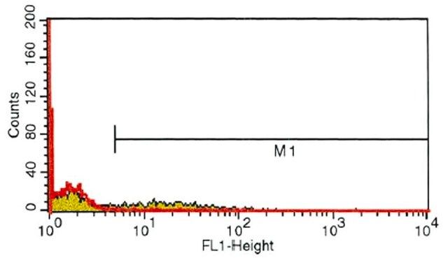 Monoclonal Anti-CD11b antibody produced in mouse