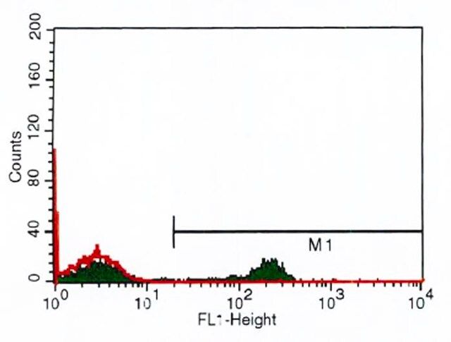 Anti-CD4 antibody, Mouse monoclonal antibody produced in mouse