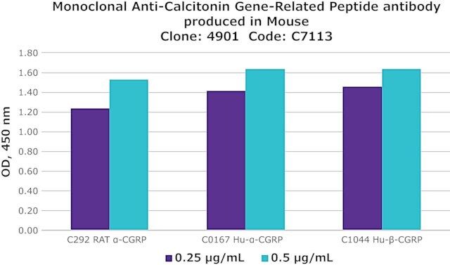 Anti-Calcitonin Gene-Related Peptide antibody, Mouse monoclonal