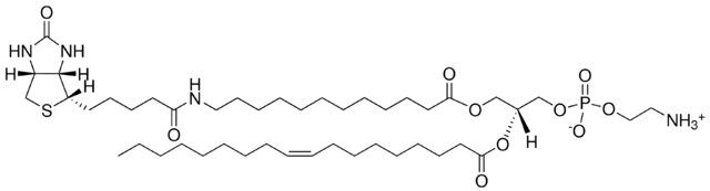 12:0 Biotin-18:1 PE