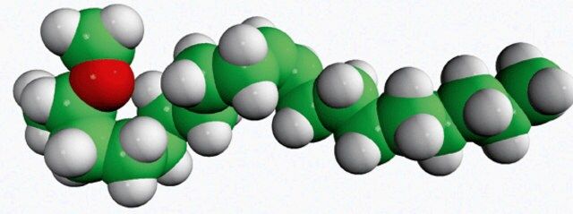 18:1 dimethylacetal