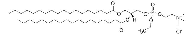 18:0 EPC (Cl Salt)