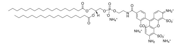 18:0 PE-TopFluor<sup>®</sup> AF488