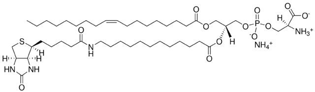 18:1-12:0 Biotin PS