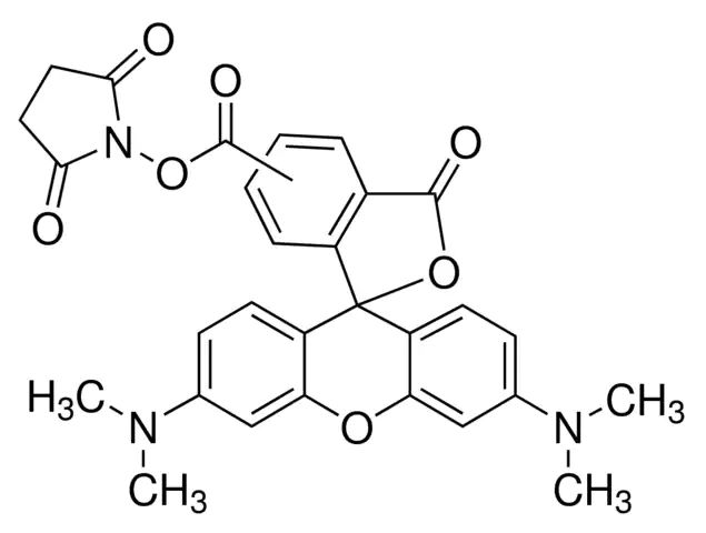 5(6)-Carboxytetramethylrhodamine <i>N</i>-succinimidyl ester