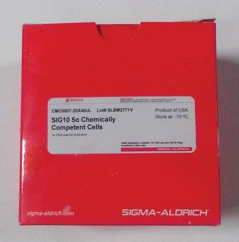 SIG10 5a Chemically Competent Cells