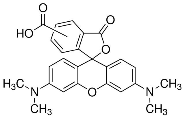 5(6)-Carboxytetramethylrhodamine