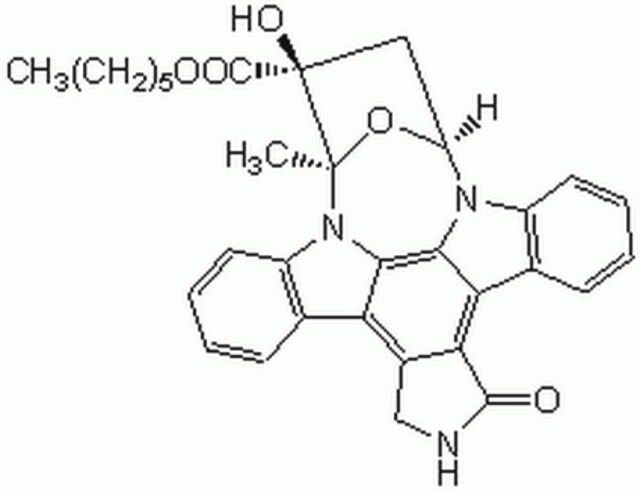 KT5720-CAS 108068-98-0-Calbiochem