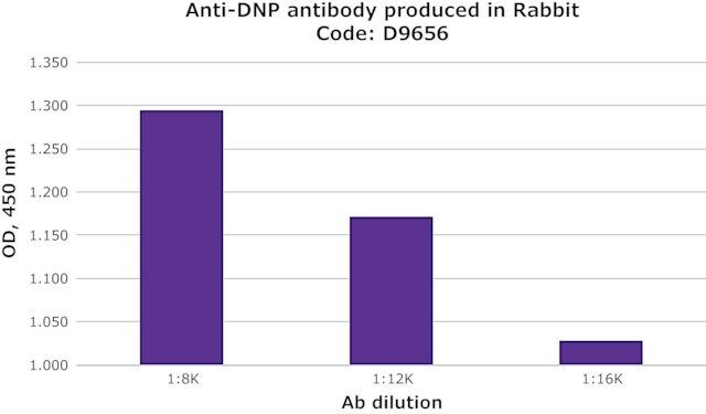 Anti-DNP antibody produced in rabbit