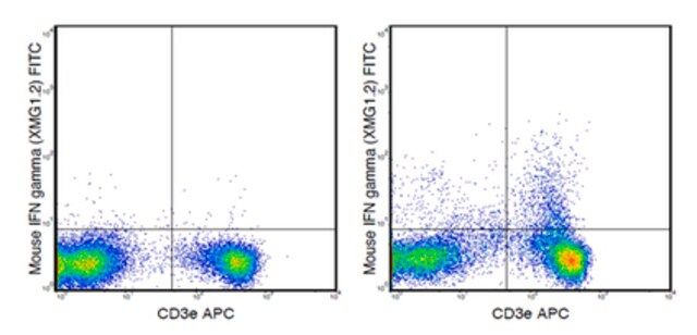 Anti-mouse IFN gamma, FITC, clone XMG1.2 Antibody