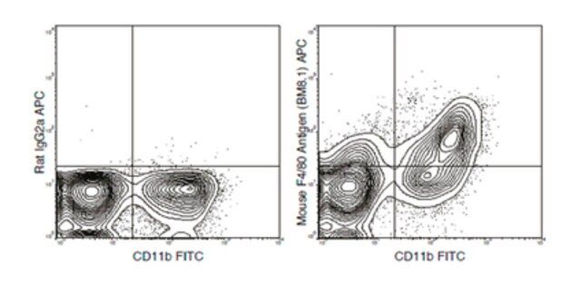 Anti-F4/80 (mouse), APC, clone BM8.1 Antibody