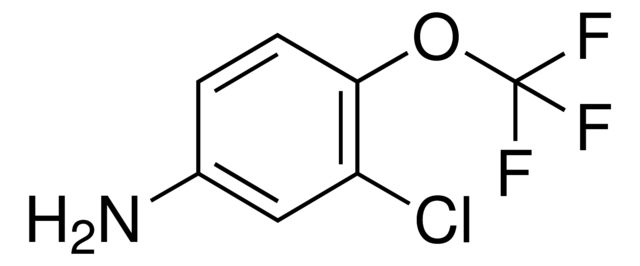 3-Chloro-4-(trifluoromethoxy)phenylamine