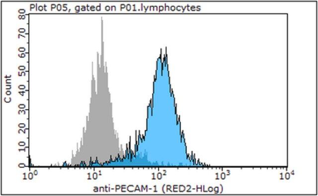 Anti-PECAM-1 Antibody, clone P2B1 (Ascites Free)