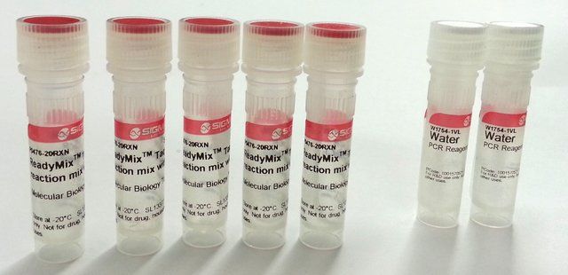 ReadyMix<sup>TM</sup> Taq PCR Reaction Mix