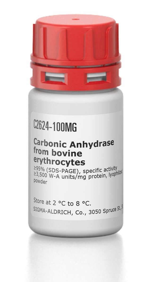 Carbonic Anhydrase from bovine erythrocytes