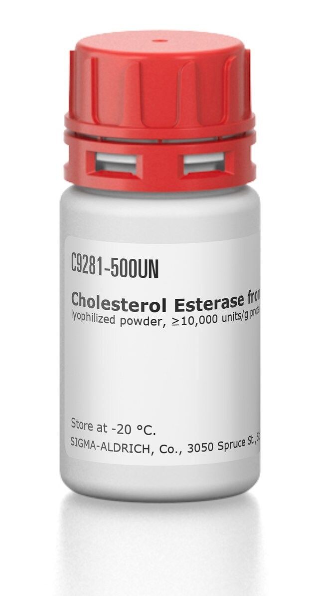 Cholesterol Esterase from <I>Pseudomonas fluorescens</I>