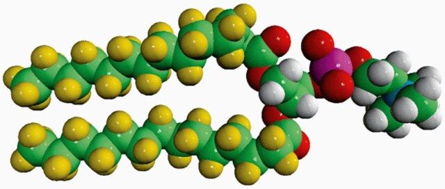 14:0 PC-d54