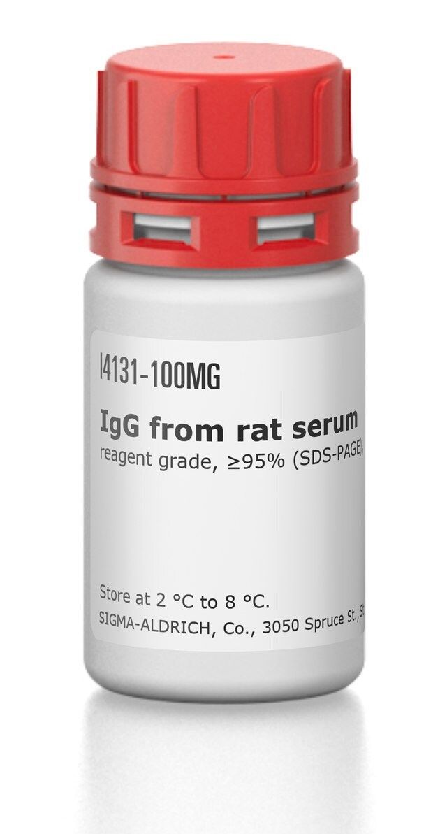 IgG from rat serum