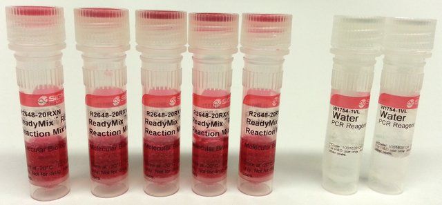 REDTaq<sup>®</sup> ReadyMix<sup>TM</sup> PCR Reaction Mix