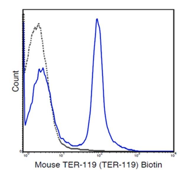 Anti-TER-119 (mouse), clone TER-119, biotin conjugate Antibody