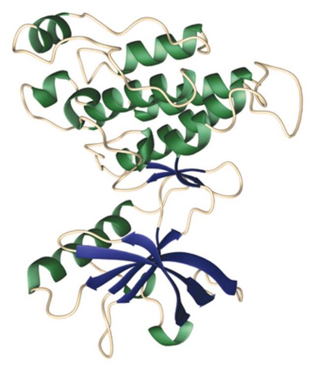 PI 3-Kinase 3-step HTRF<sup>®</sup> Assay