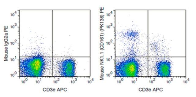 Anti- CD161 (NK1.1) (mouse), PE, clone PK136 Antibody