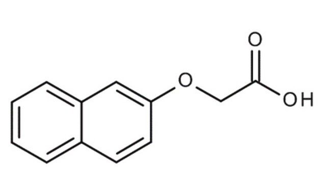 2-Naphthoxyacetic acid