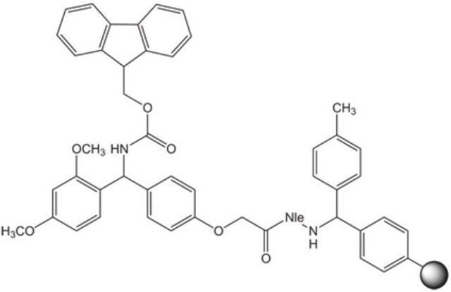 Rink Amide MBHA resin LL (100-200 mesh)