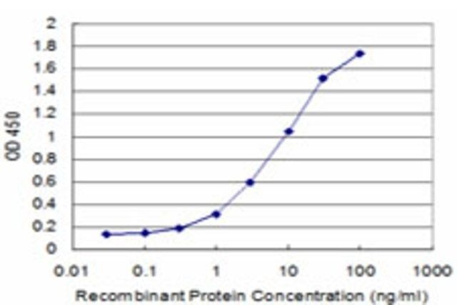 Monoclonal Anti-COPB antibody produced in mouse