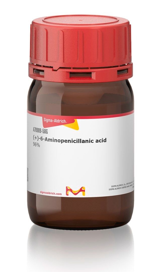 (+)-6-Aminopenicillanic acid