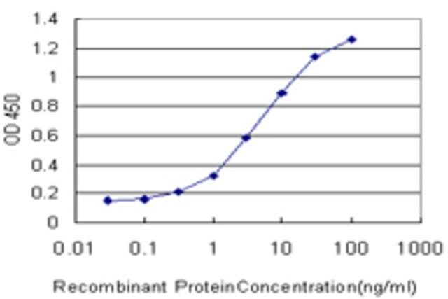 Monoclonal Anti-SLC6A4 antibody produced in mouse