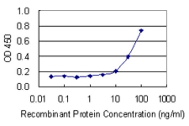 Monoclonal Anti-NHLH1 antibody produced in mouse