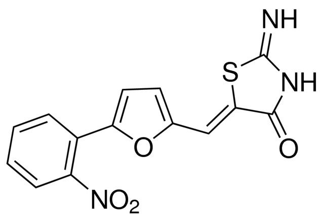 RTC13