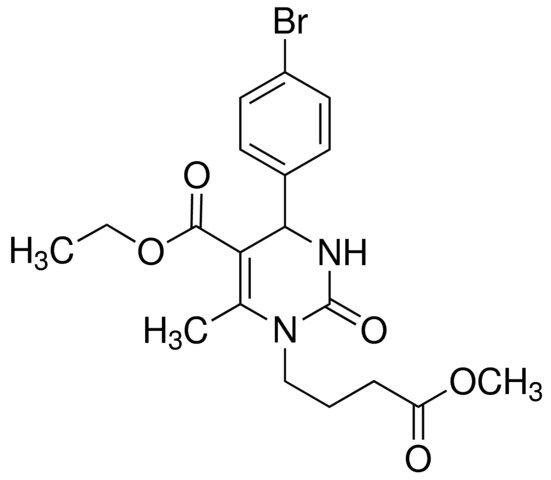 SW02