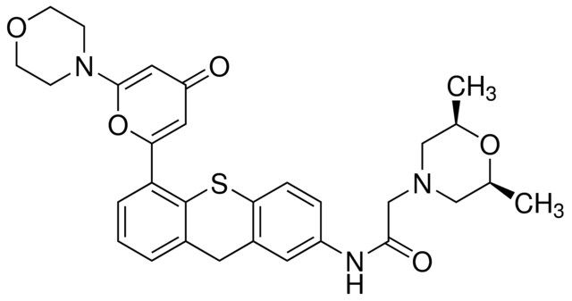 KU-60019