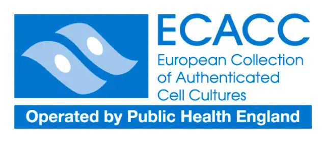 FJO human cell line