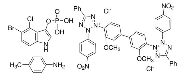 NBT-BCIP<sup>®</sup> solution