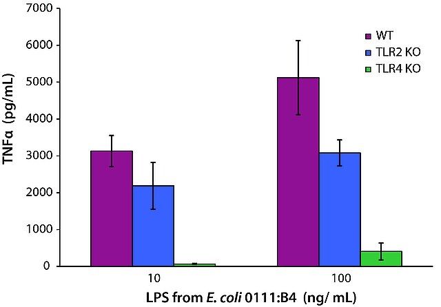 Lipopolysaccharides from <i>Escherichia coli</i> O111:B4