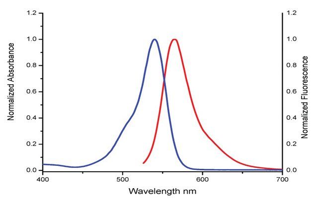 Dibenzocyclooctyne-PEG4-Fluor 545