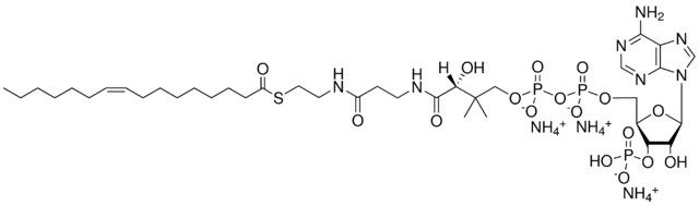 16:1 (n7) Coenzyme A